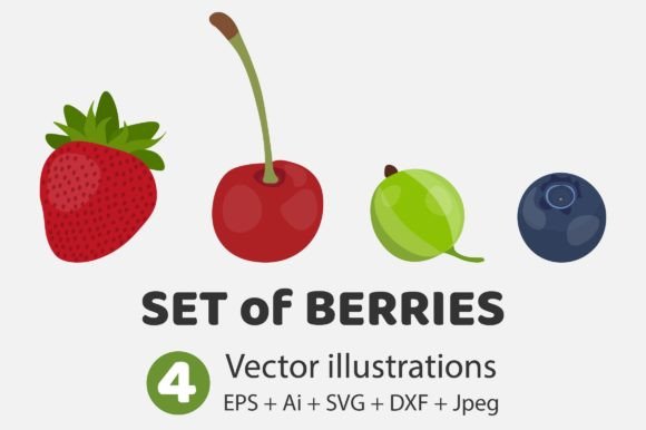 Berries Set Vector Illustrations: A Fresh Take on Design Assets
