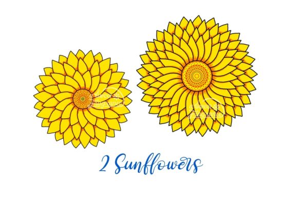 Bring Sunshine to Your Designs with Two Sunflower Illustrations