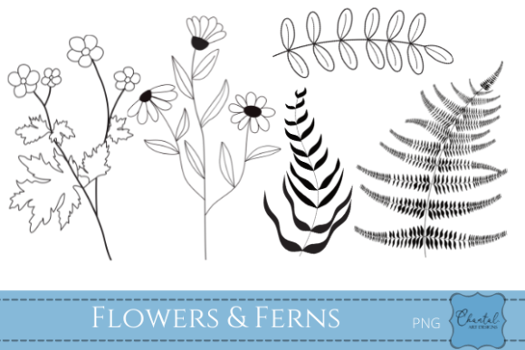Flowers Ferns Leaves Illustrations: A Versatile Design Toolkit