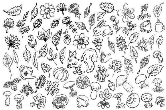 Outline Doodle Illustrations: A Designer's Toolkit for Autumn Charm