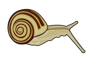 Snail Illustrations: A Playful Asset for Modern Design