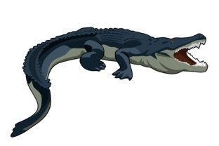 Styling with Scales: Integrating Crocodile Illustrations