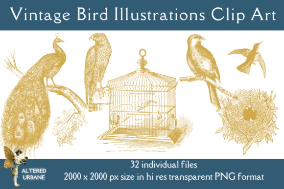 Timeless Charm: Using Vintage Bird Illustrations Clip Art